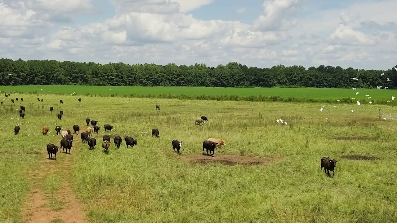 5 ON YOUR SIDE: Regenerative agriculture — KSTP 5 — Gopher