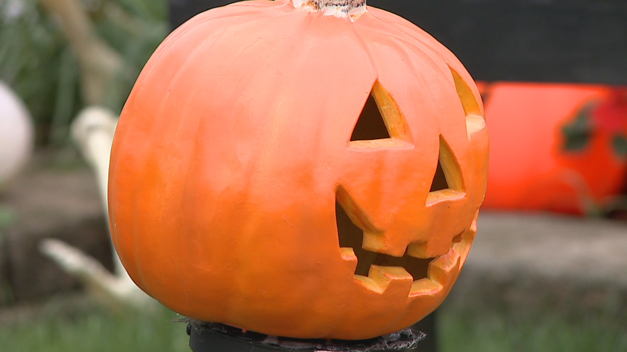 Things to do in Minnesota: 5 things to do this weekend (Oct. 30–Nov. 1) — St. Louis Park Community news